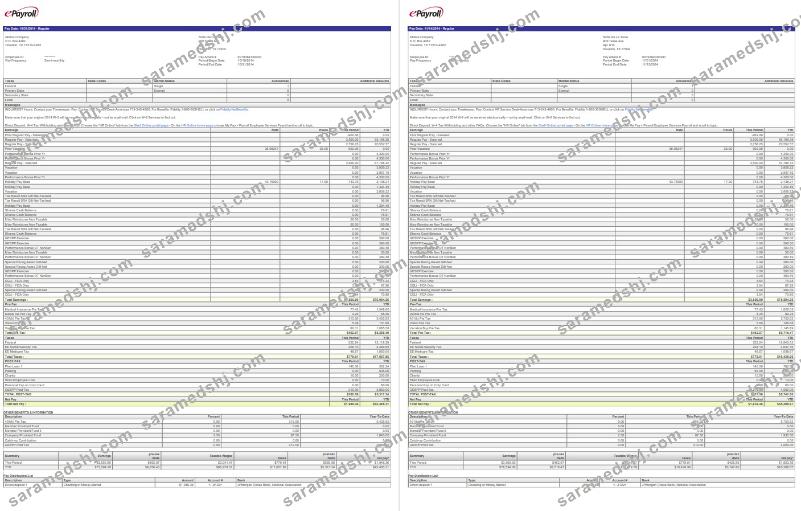 Epayroll Motiva company pay stub in PDF and Word formats